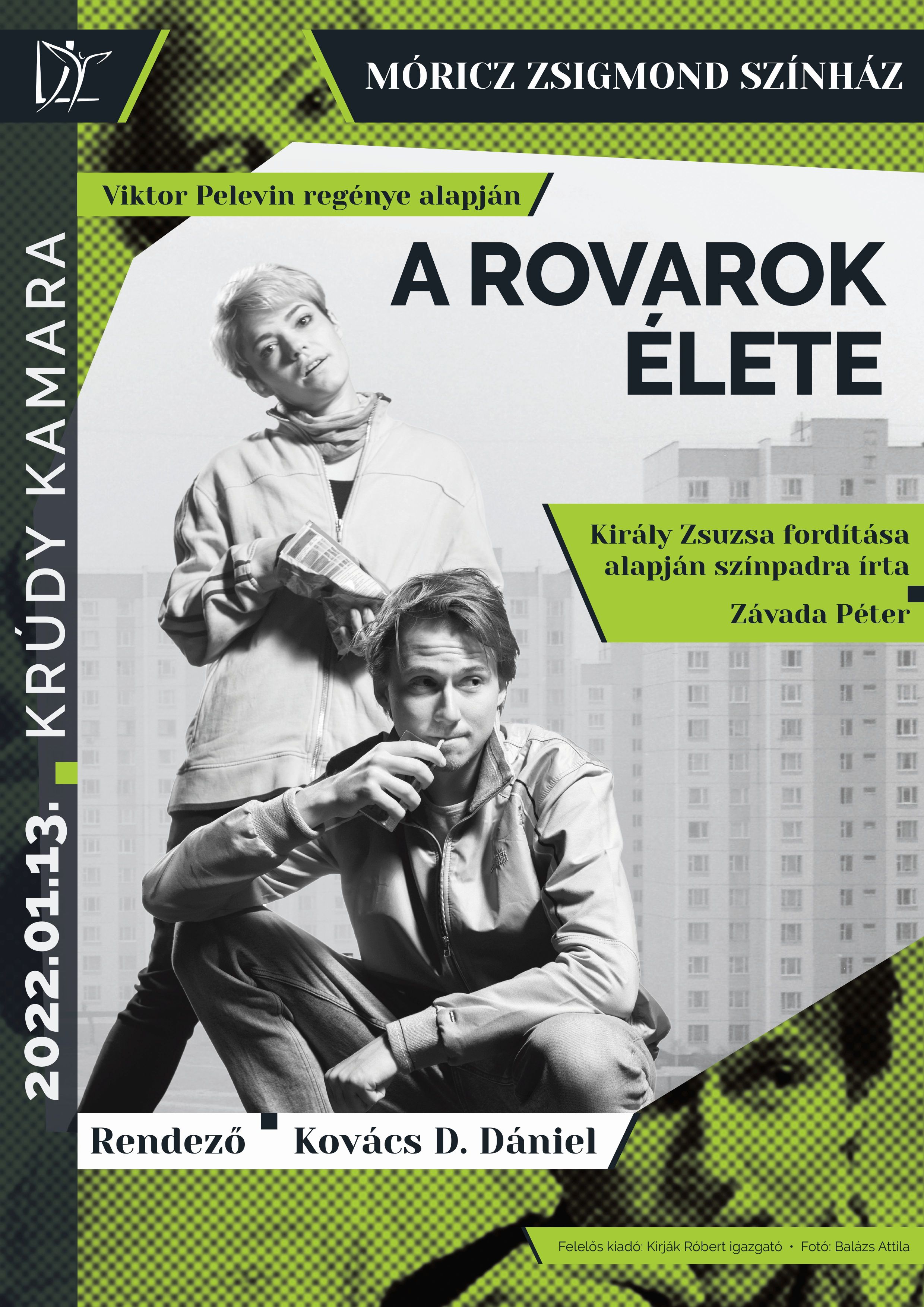 mzssz_a_rovarok_elete_a2_plakat_21119.jpg