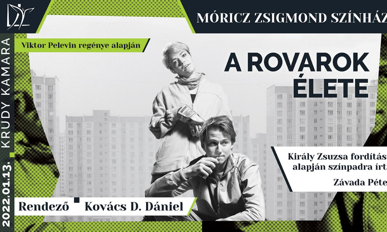 Következő bemutató előadásunk: A rovarok élete