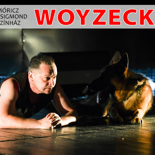 A 10. Színházi Olimpián a Woyzeck szatmárnémeti vendégelőadás is szerepel a Móricz Zsigmond Színházban